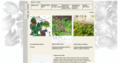 Desktop Screenshot of datura.cz