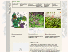 Tablet Screenshot of datura.cz